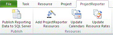 First half of the ProjectReporter ribbon